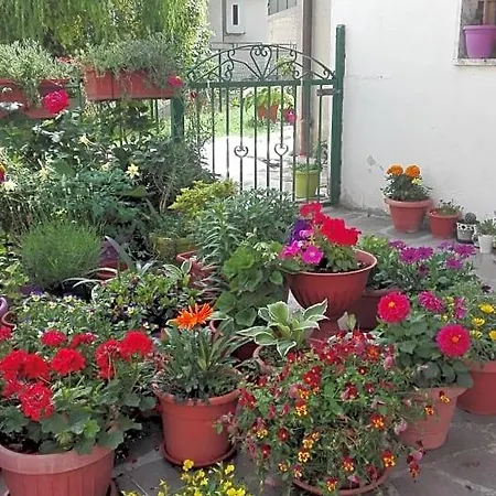 A Casa Di Carla 3*