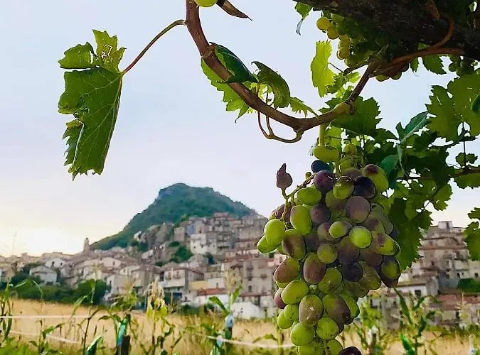 Bed & Breakfast A Casa Di Carla 3*